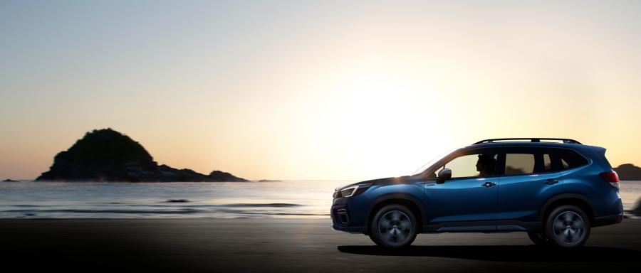  Subaru Forester Advance 2018 года  (JP) (фото 21 из 30)
